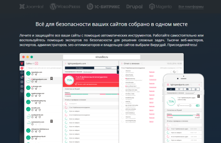 Почему защита сайта от вирусов так важна?