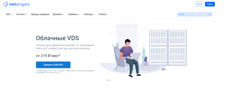 Что такое NetAngels?